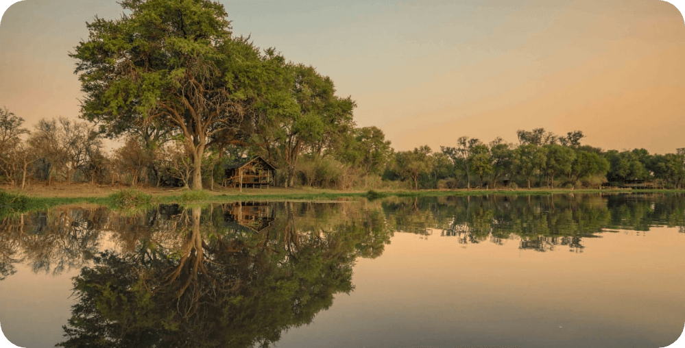 Wild Life image-7